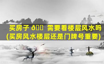 买房子 🐠 需要看楼层风水吗(买房风水楼层还是门牌号重要)